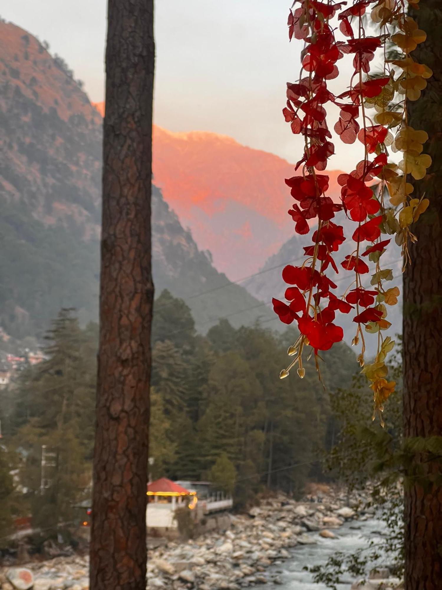 Ahava Kasol Riverside Cafe And Cottages Экстерьер фото